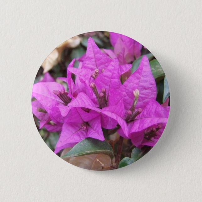 Pink Bougainvillea Flowers Button (Front)