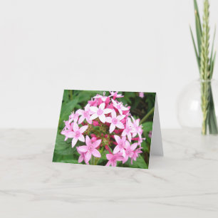 Pink bouquet v2 card