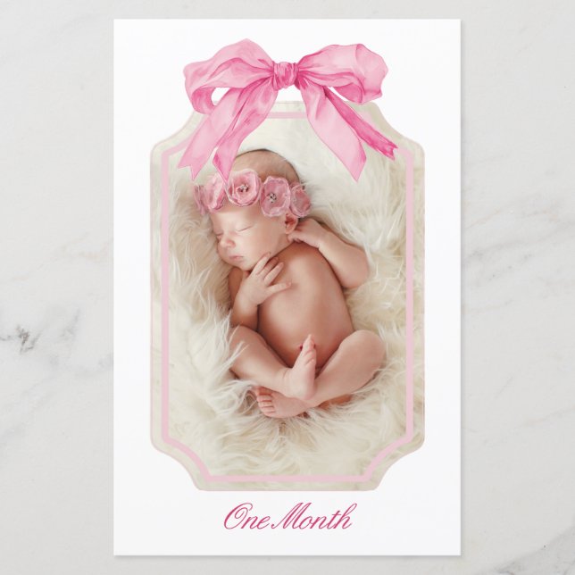 Pink Bow Fancy ONE Girl Birthday Milestone Banner  (Front)