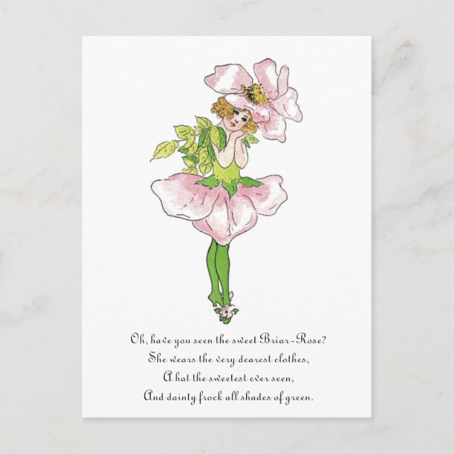 Pink Briar Rose Flower Floral Funny Cute Girl Postcard (Front)
