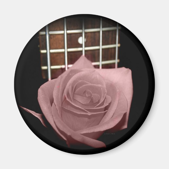Pink brown tint rose against five string bass fret magnet (Front)