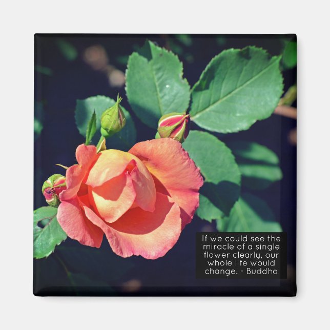 Pink Budding Rose Motivational Quote Magnet (Front)