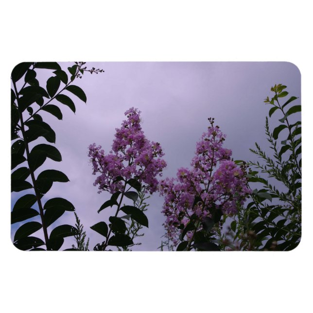 Pink Bunch of Flowers Magnet (Horizontal)