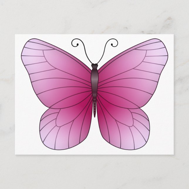 Pink Butterfly Postcard (Front)