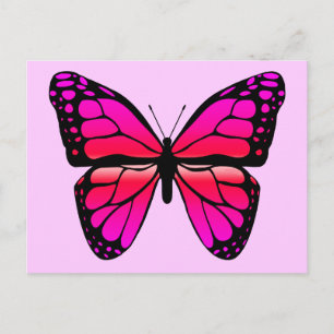 Pink Butterfly Postcard
