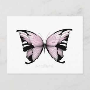 Pink Butterfly Wild Rose Bishop Postcard