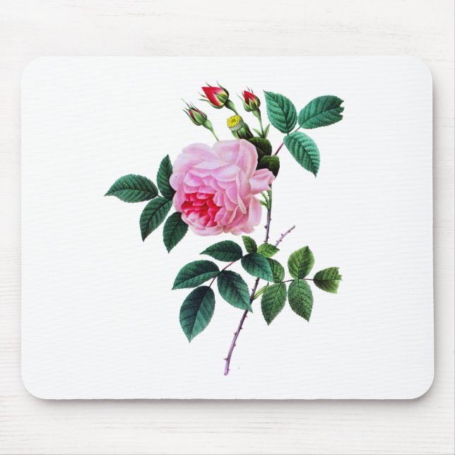 Pink Cabbage Rose by Pierre Joseph Redoute Mouse Mat (Front)