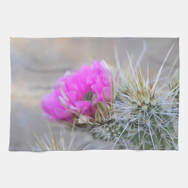 Pink Cactus blooms Tea Towel (Horizontal)