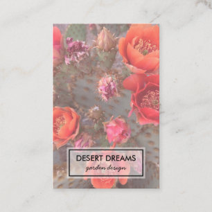 Pink Cactus Flower Desert Garden Photo Travel Business Card
