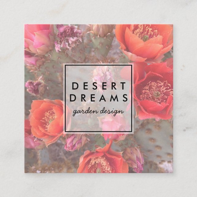 Pink Cactus Flower Desert Garden Photo Travel Square Business Card (Front)
