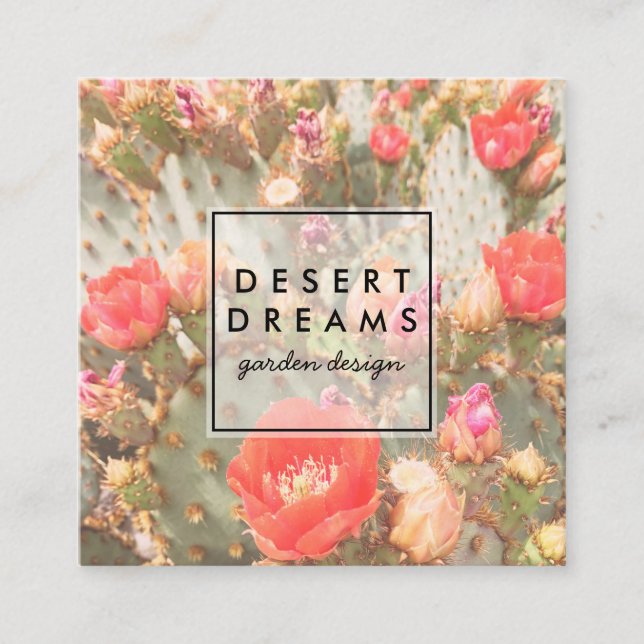 Pink Cactus Flower Desert Garden Photo Travel Square Business Card (Front)