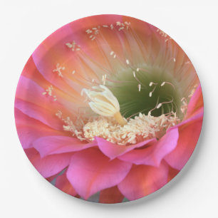 Pink cactus flower in the desert paper plate