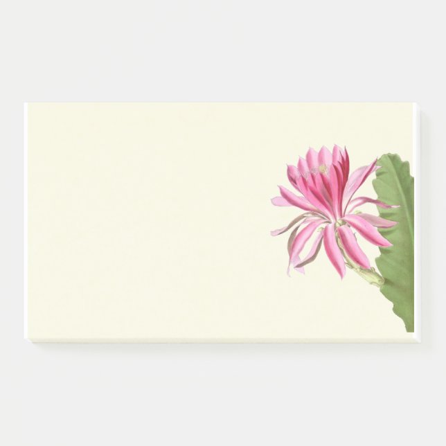 Pink cactus flower,  post-it notes (Front)