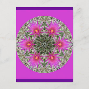 Pink Cactus Flower Postcard