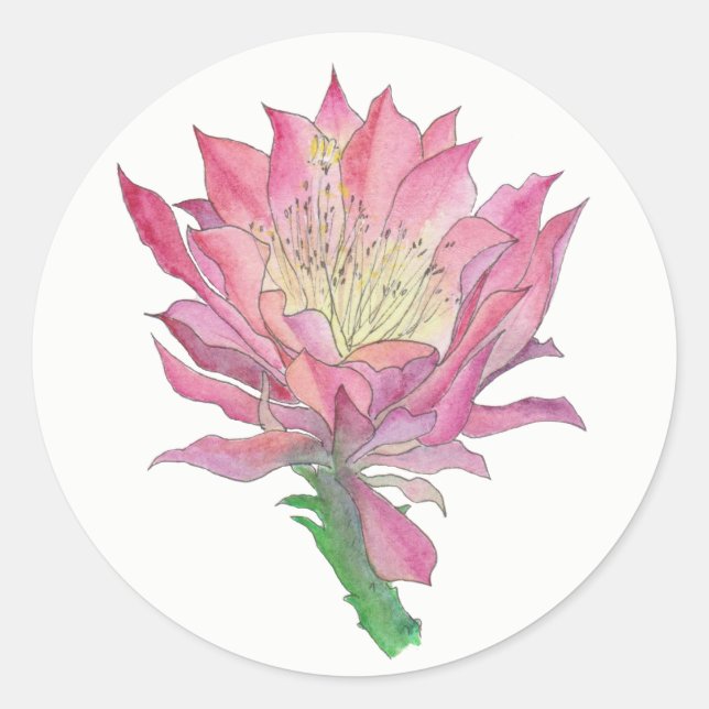Pink Cactus Flower Small Round Sticker (Front)