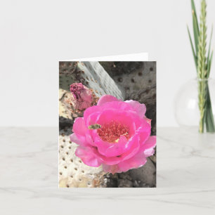 Pink Cactus Flower with Bee Note Card