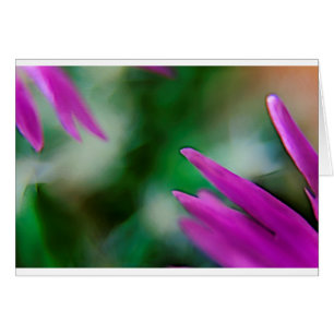Pink Cactus Petals