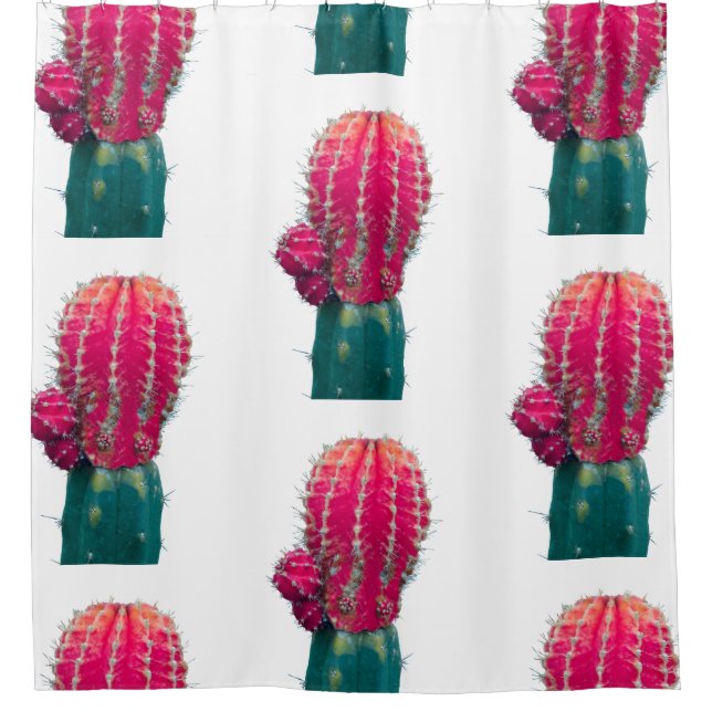Pink Cactus Photo  Shower Curtain (Front)
