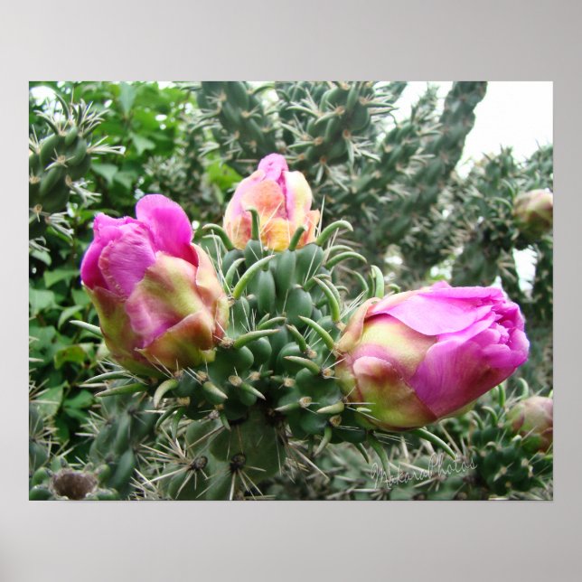 Pink Cactus Print (Front)