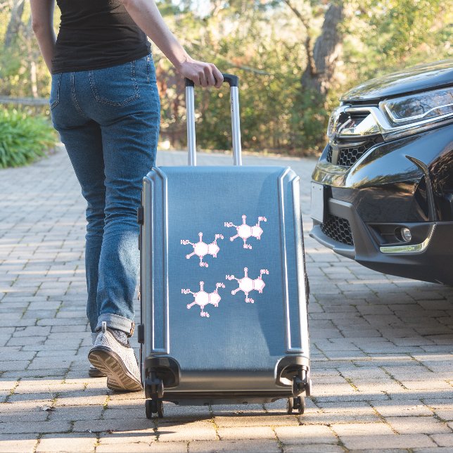 Pink Caffeine Molecules (Suitcase Insitu)