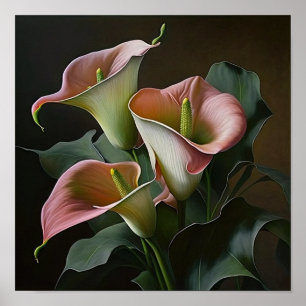 Pink Calla Lilies Lily Flower Art Print Poster