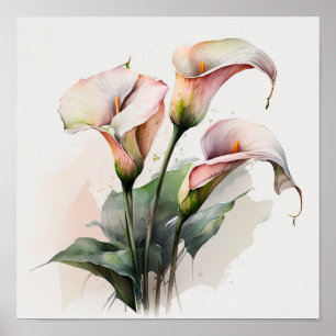 Pink Calla Lilies Lily Flower Art Print Poster