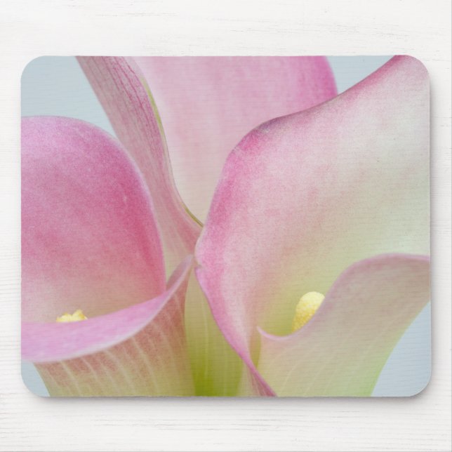 Pink Calla Lilies Mouse Mat (Front)