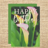 Pink Calla Lillies Happy Birthday 