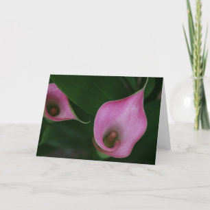 Pink Calla Lily Card