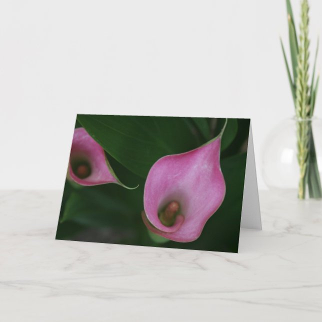 Pink Calla Lily Card (Front)