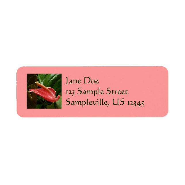 Pink Calla Lily Elegant Floral (Front)