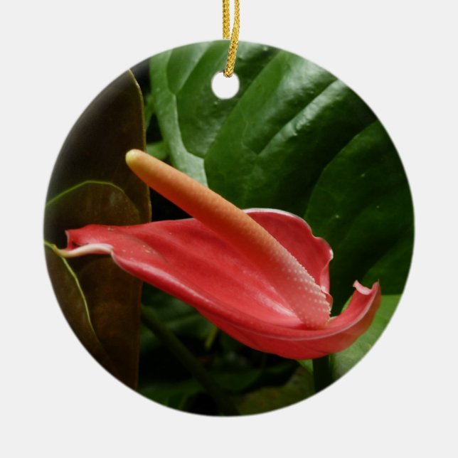 Pink Calla Lily Elegant Floral Ceramic Tree Decoration (Front)