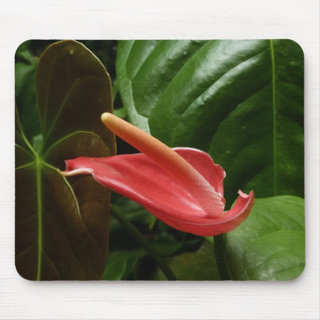 Pink Calla Lily Elegant Floral Mouse Mat (Front)