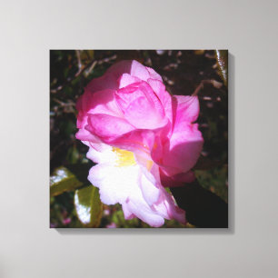 Pink Camellia Colour Canvas Wall Decor
