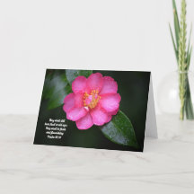 Pink Camellia Flower and Scripture Psalm 92:14
