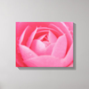 Pink Camellia Flower Canvas Print