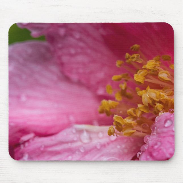 Pink Camellia Flower Stamens Mouse Mat (Front)