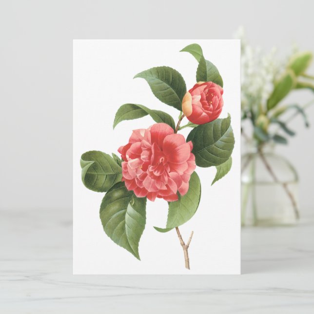 Pink Camellia Flowers by Redoute Invitation (Standing Front)