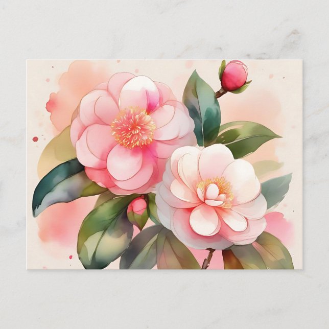 Pink Camellia Flowers Postcard (Front)