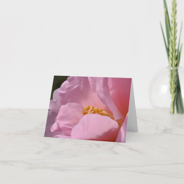 Pink Camellia Folded Thank You Card (Front)