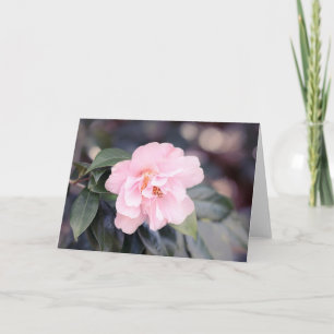 Pink Camellia Japonica Note Card