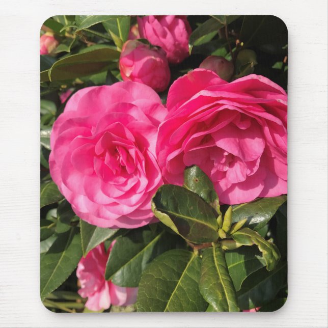 Pink Camellia Mouse Mat (Front)