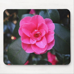 Pink Camellia Mouse Mat