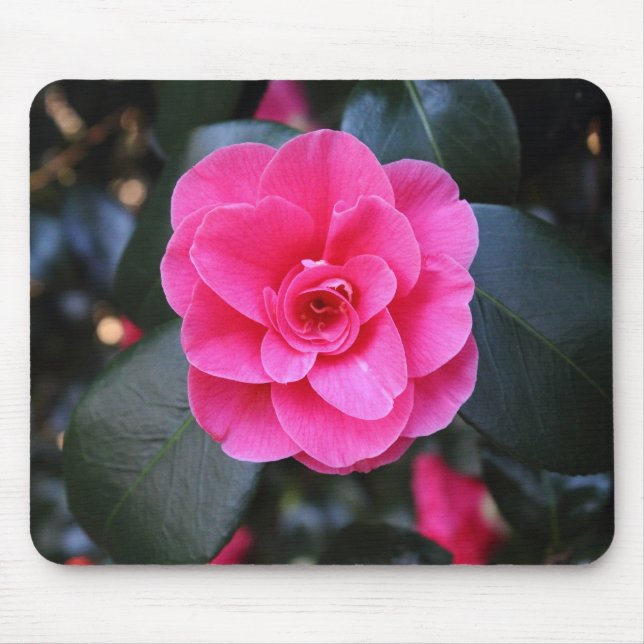 Pink Camellia Mouse Mat (Front)