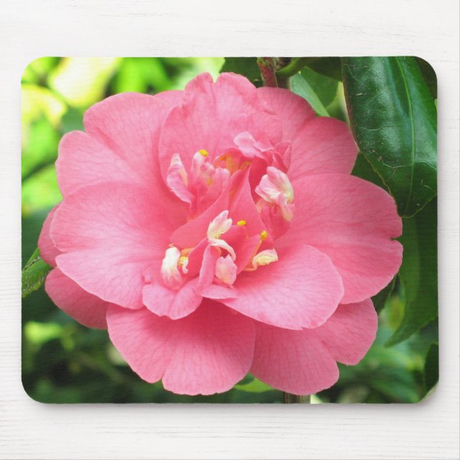 Pink Camellia Mousepad (Front)