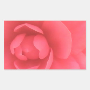 Pink Camellia Rectangular Sticker