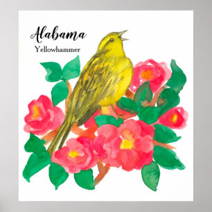 Pink Camellias Bird Yellowhammer Watercolor Poster