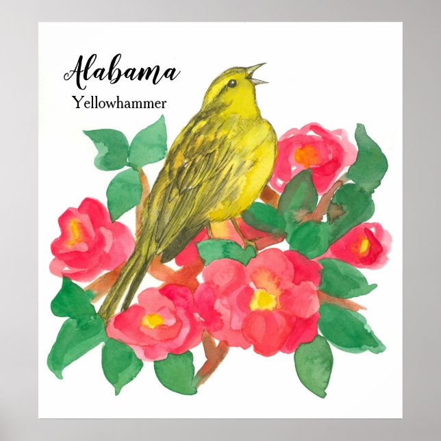 Pink Camellias Bird Yellowhammer Watercolor Poster (Front)