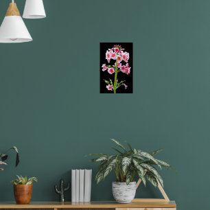 Pink Candelabra Primula Floral Poster