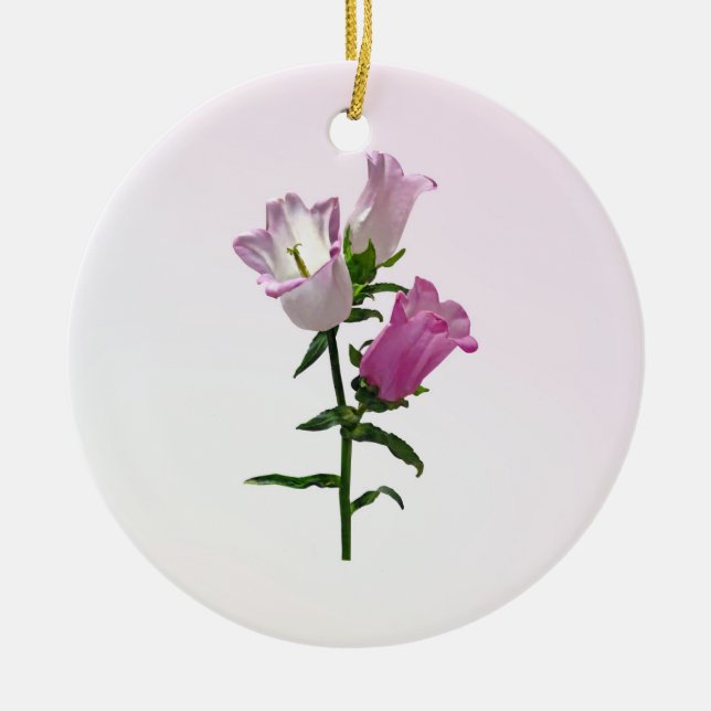 Pink Canterbury Bells Ceramic Tree Decoration (Front)